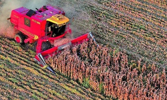 Conocé las altísimas cifras que debe manejar el campo para dar inicio a la cosecha