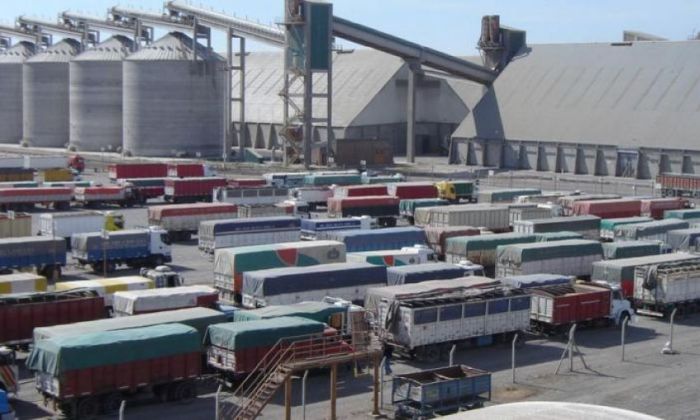 Los camioneros destacan el movimiento por la cosecha récord, aunque se quejan por la demora en los puertos