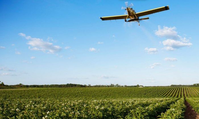 Siembra aérea: una técnica creciente en la región sur de Córdoba 