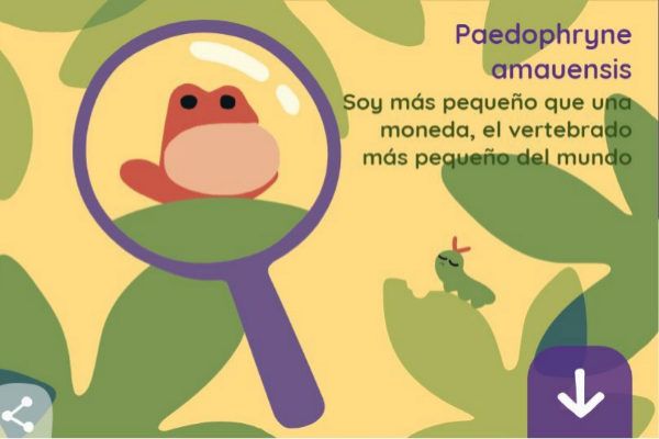 Google conmemora el Día de la Tierra con un doodle sobre la biodiversidad