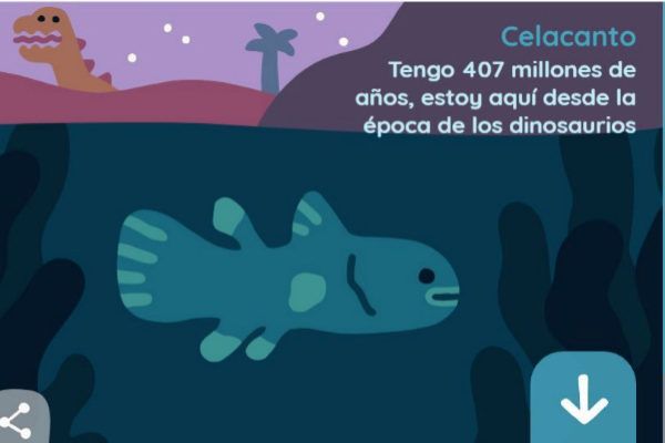 Google conmemora el Día de la Tierra con un doodle sobre la biodiversidad