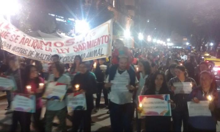 Una multitud marchó por las calles de la ciudad en defensa de los animales