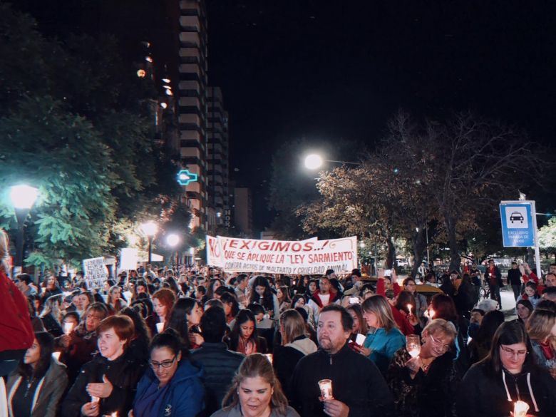 Una multitud marchó por las calles de la ciudad en defensa de los animales