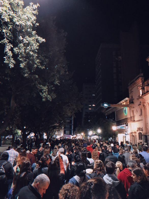 Una multitud marchó por las calles de la ciudad en defensa de los animales