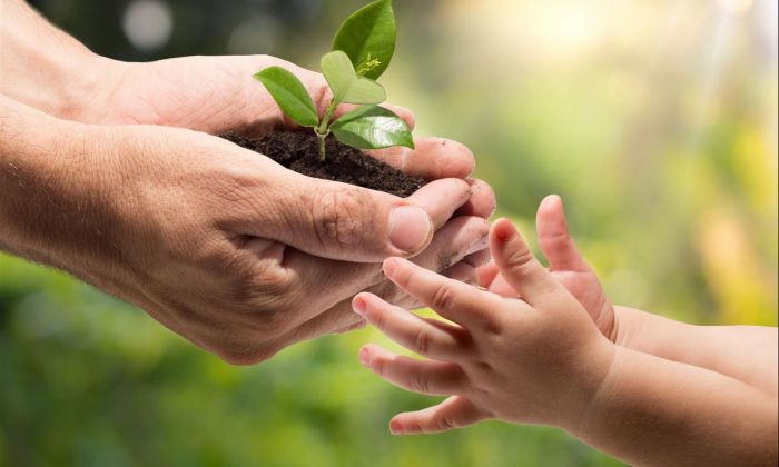 Semana del Ambiente: permeando las mentes jóvenes