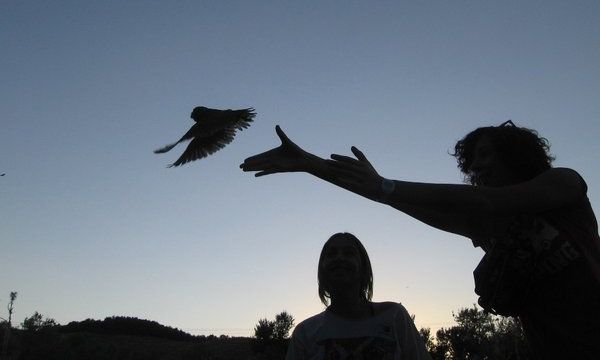 Desde la Fundación Biored consideran inapropiada la suelta de aves en el Parque del Centro Cívico