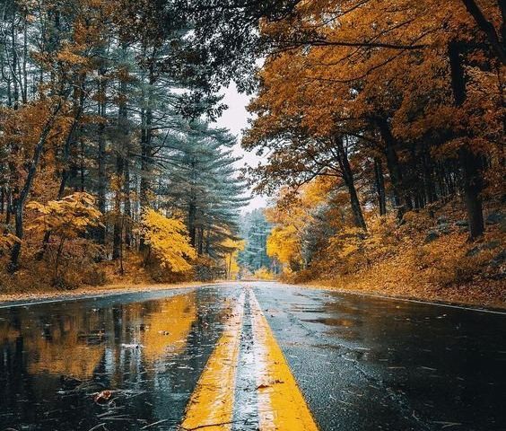 El viento sur llega con frío y lluvia en la tarde del miércoles 