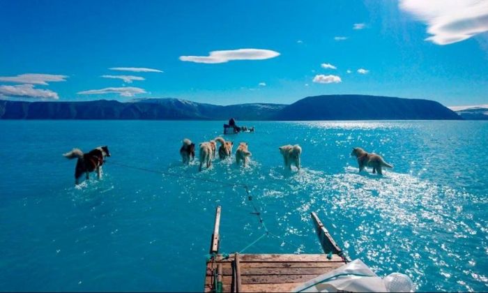 La foto que muestra el drama del deshielo en Groenlandia