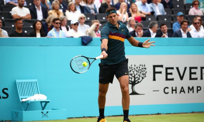 Del Potro ganó pero tuvo que abandonar por lesión