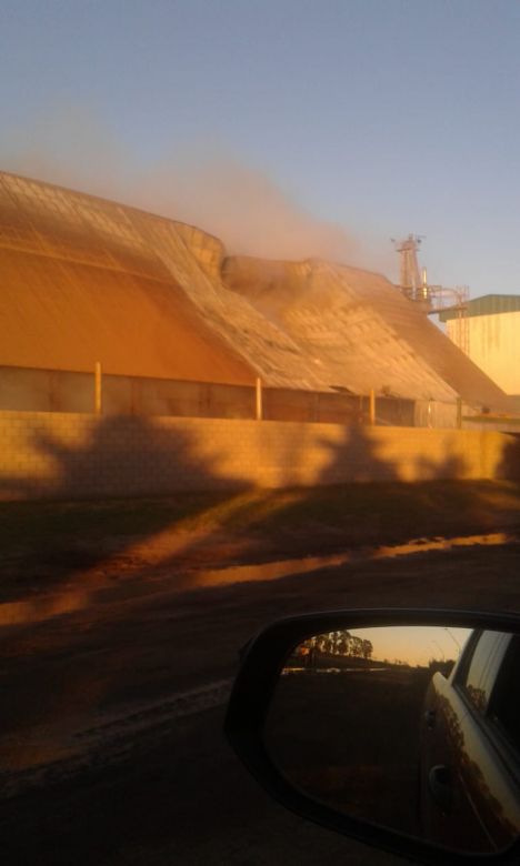 Controlaron el incendio en una celda de acopio de la generadora de electricidad de Ticino