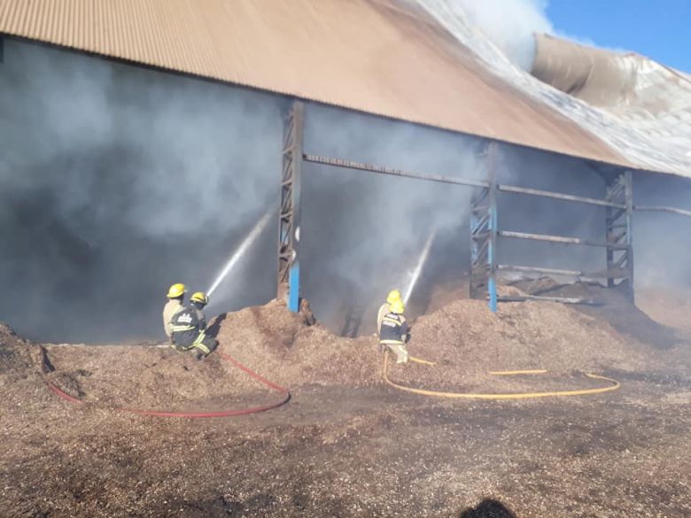 Controlaron el incendio en una celda de acopio de la generadora de electricidad de Ticino