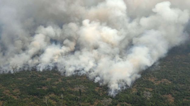 El plan de Jair Bolsonaro para "pavimentar" el Amazonas