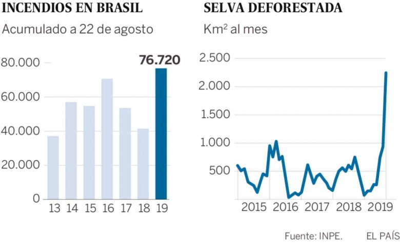 La ‘sabanización’ de la Amazonia amenaza a todo el planeta