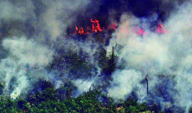 Es la angurria y no la sequía lo que incendia el Amazonas