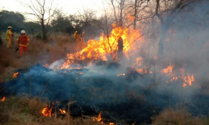 Se declaró extinguido el incendio de más de 70 hectáreas de monte en Alpa Corral