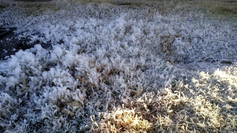 El martes amaneció con una helada negra 