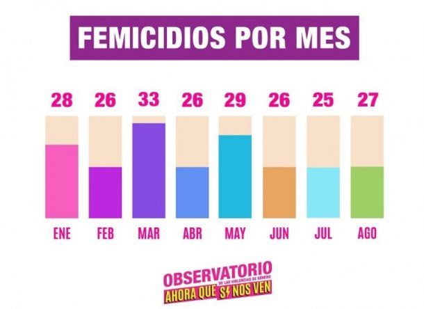 Durante el primer semestre de 2019 hubo 223 femicidios en Argentina