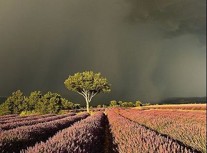 Finalizó la rural y comenzó la temporada de lluvias 