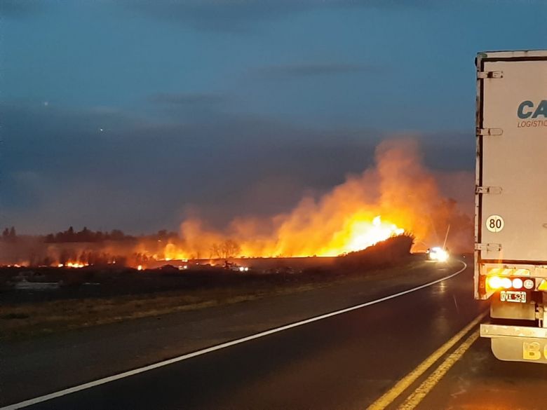 Incendio en cañaverales en la ruta 8