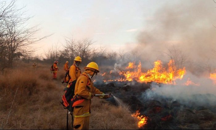 Bomberos de Alpa Corral y la Brigada Forestal trabajaron para sofocar un incendio de casi 15 hectáreas sobre la ruta 23