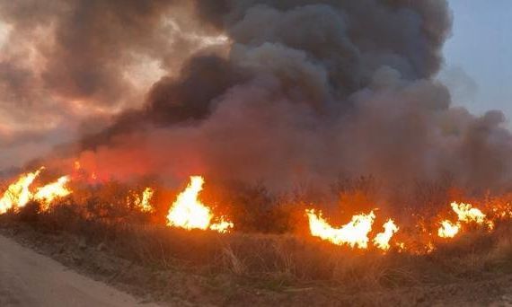 Contenidos los incendios en la sierras