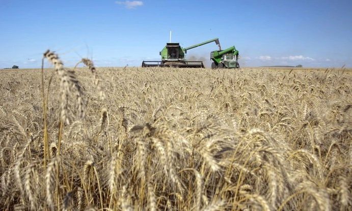 De cada 100 pesos que genera el campo, 56,4 van al Estado