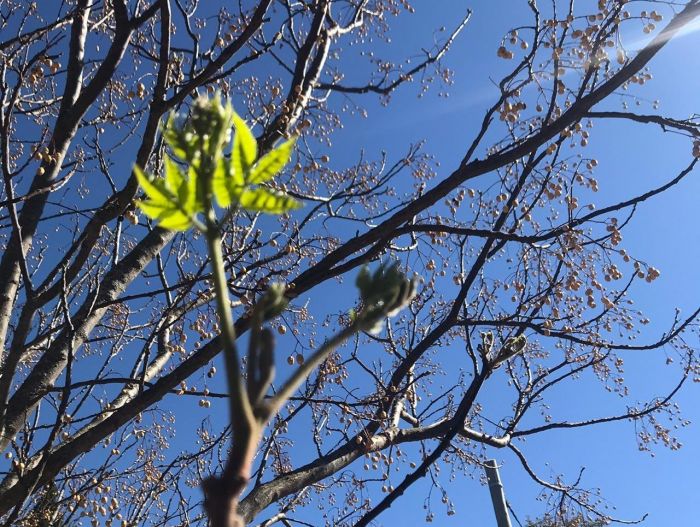 El tiempo mejora y las temperaturas suben 