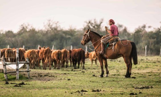 Villa Valeria reconoció a los antiguos arrieros que movían la economía antes del camión y la agricultura