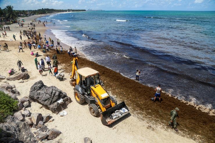 La icónica imagen que retrata el desastre del petróleo en las playas de Brasil