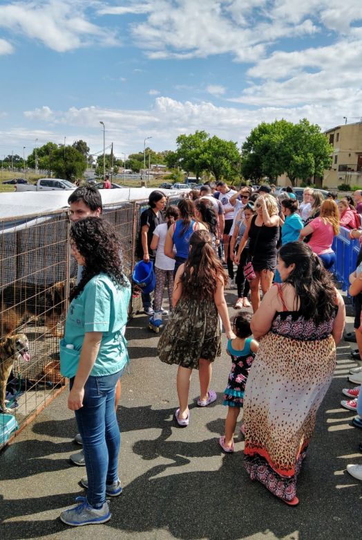 Exitosa jornada de adopción de mascotas