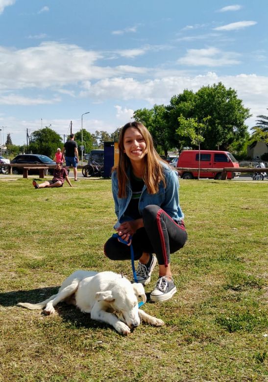 Exitosa jornada de adopción de mascotas