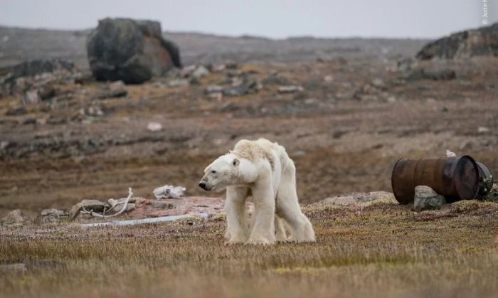 Cambio climático: más de 11.000 científicos reclaman medidas para evitar “un padecimiento humano indescriptible”