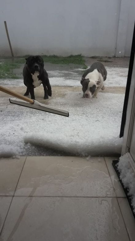 Un grave temporal afectó a Río Cuarto