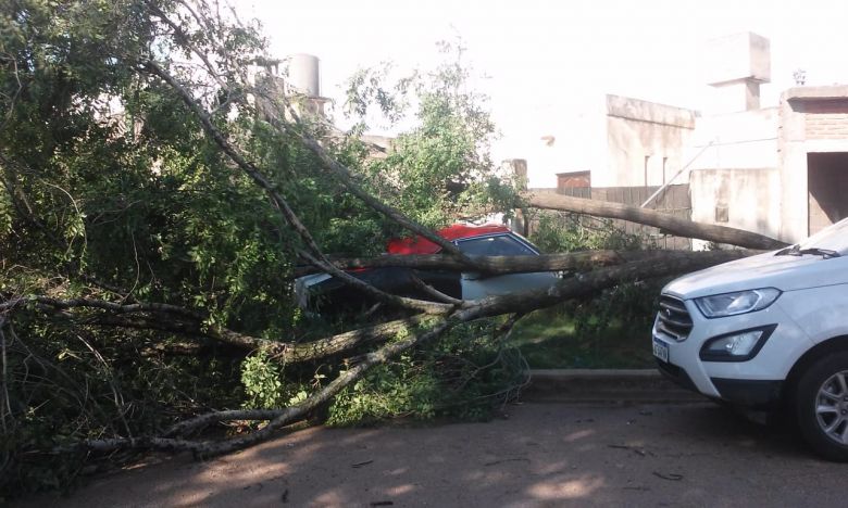 Un grave temporal afectó a Río Cuarto