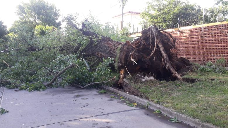 Un grave temporal afectó a Río Cuarto