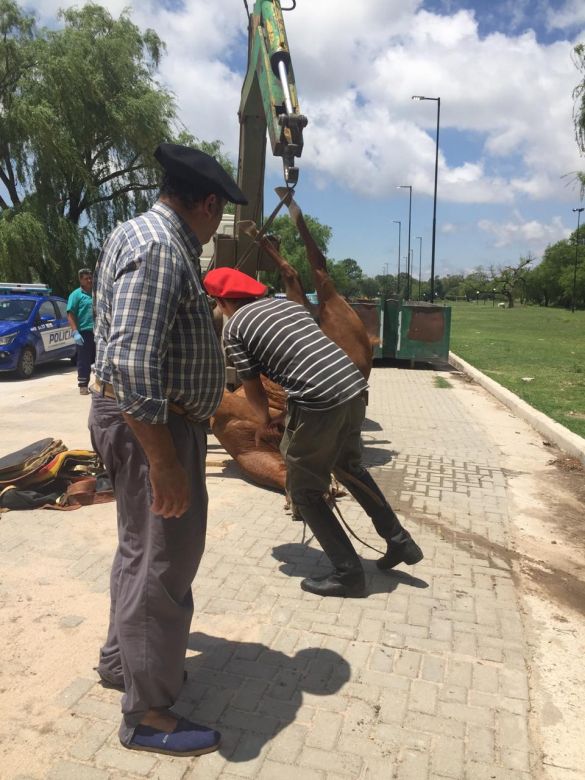 Recibió una fuerte descarga eléctrica y se salvó de milagro