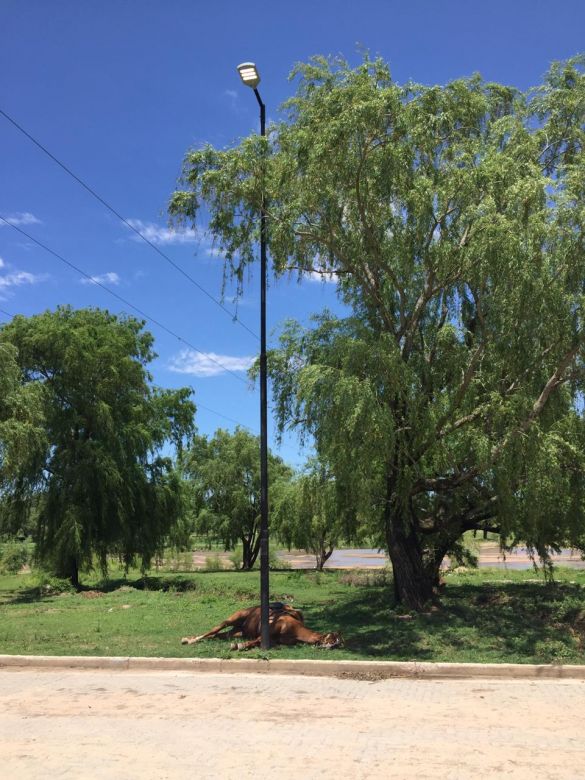 Recibió una fuerte descarga eléctrica y se salvó de milagro