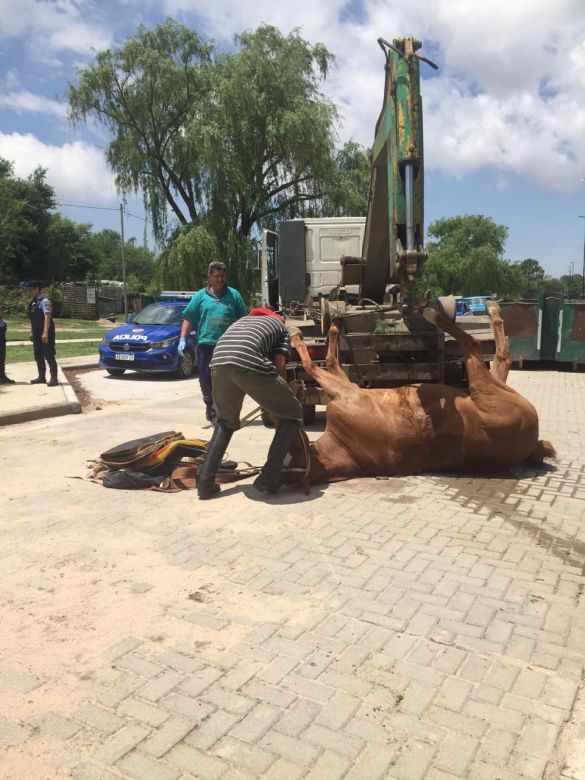 Recibió una fuerte descarga eléctrica y se salvó de milagro