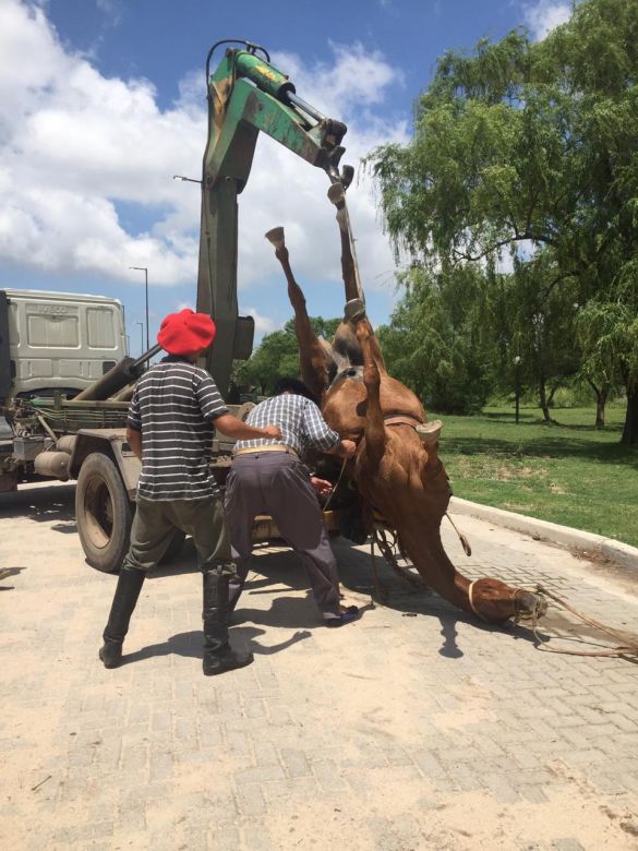 Recibió una fuerte descarga eléctrica y se salvó de milagro