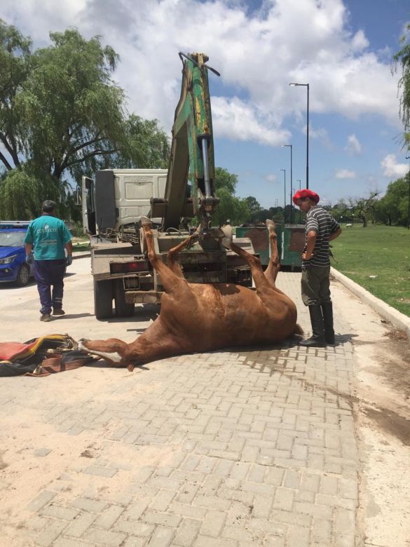 Recibió una fuerte descarga eléctrica y se salvó de milagro