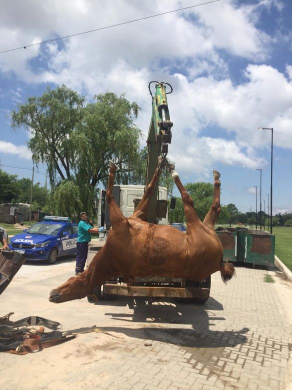 Recibió una fuerte descarga eléctrica y se salvó de milagro