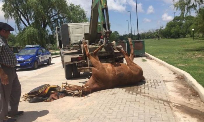 Recibió una fuerte descarga eléctrica y se salvó de milagro