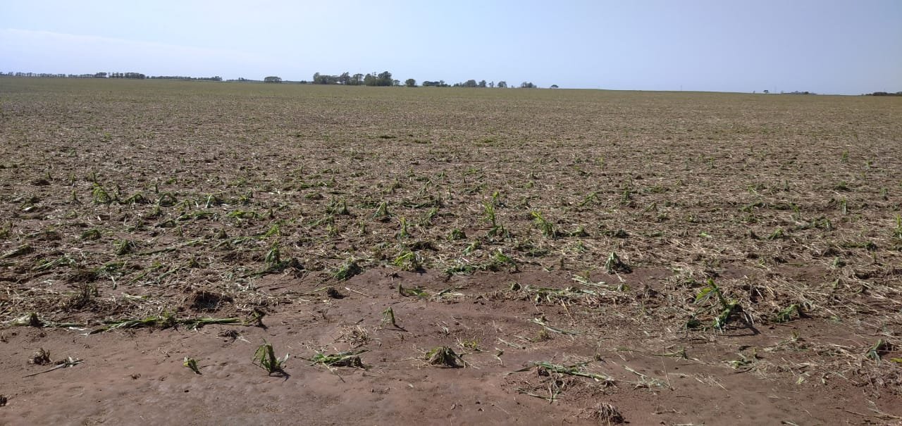 Fuerte tormenta deja destrozada Estación Lecueder