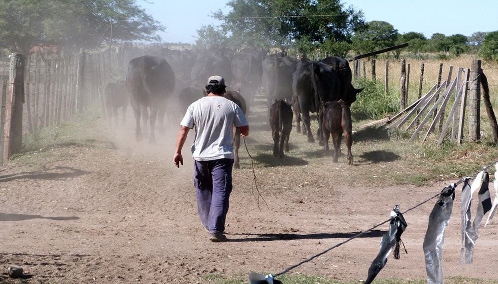 Los trabajadores rurales cerraron la paritaria 2019 con una suba del 53,8%