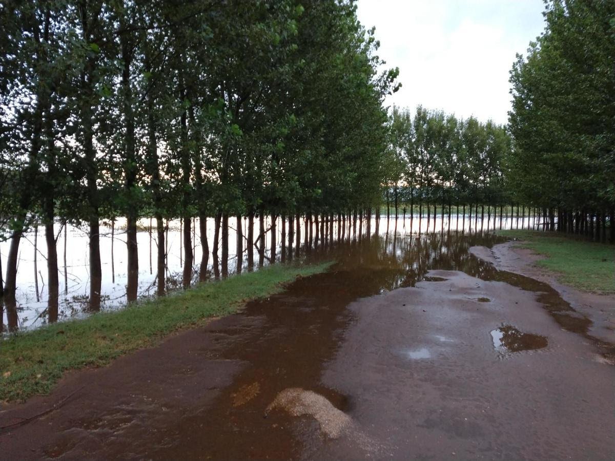 Registros de la tormenta: la lluvia caída superó los 150 milímetros en algunas localidades