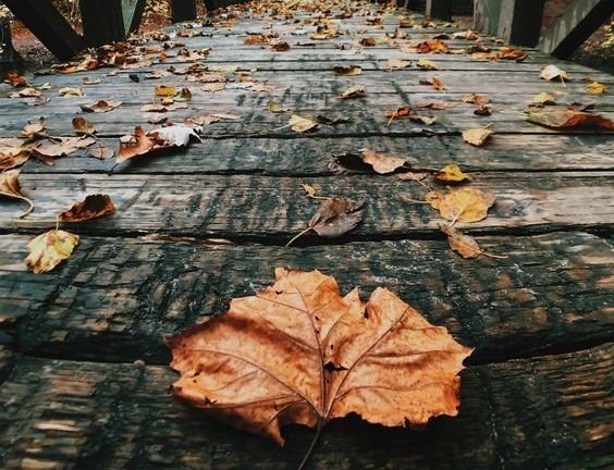 Buen tiempo y calorcito ante la llegada del otoño 