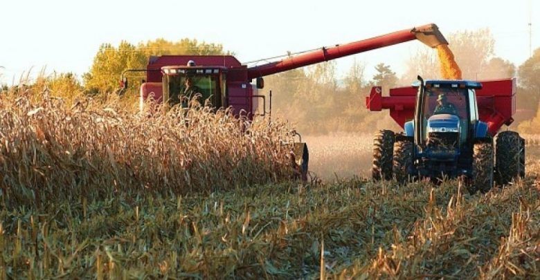 Todos los productores que quieran trabajar lo podrán hacer