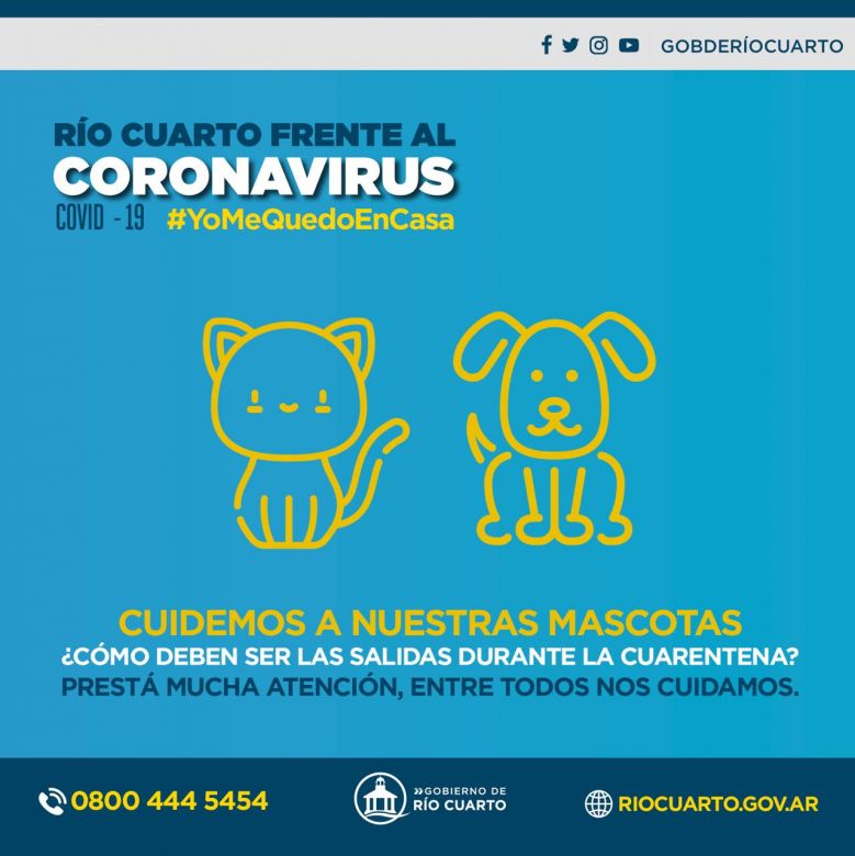 ¿Cómo manejarnos con nuestras mascotas mientras duren las medidas de aislamiento social obligatorio?