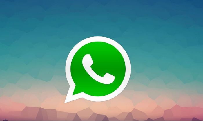 Cómo silenciar a un integrante de un grupo de WhatsApp