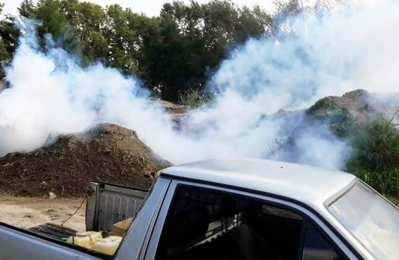 Dengue: Fumigaron la ciudad y refuerzan algunos sectores